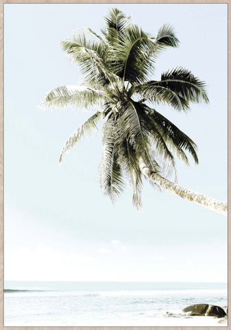 Art Print Canvas Palm