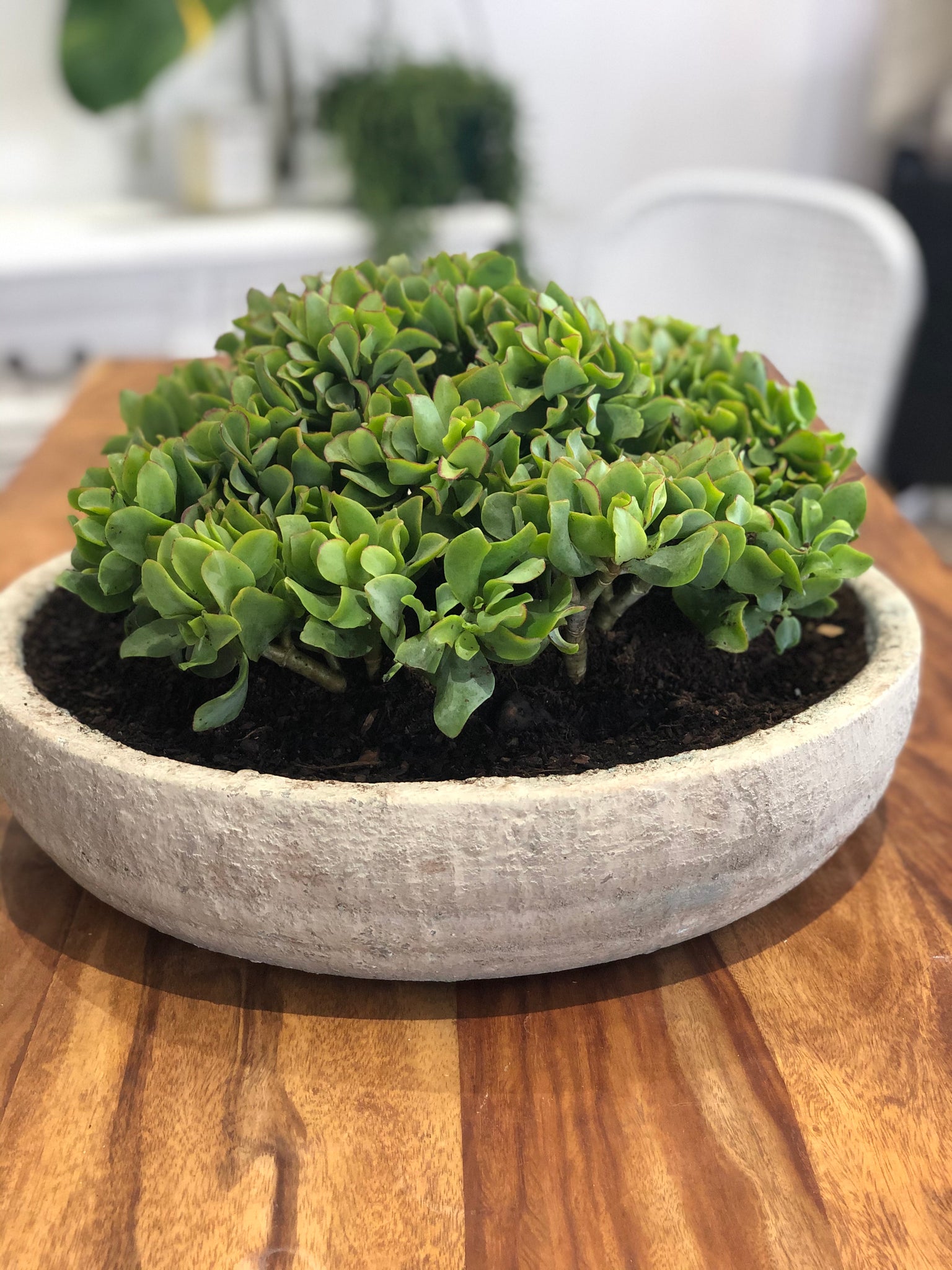 Bowl Textured chalk