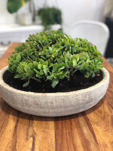 Bowl Textured chalk